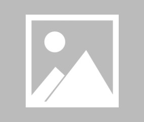 WBG粉丝怒斥AD：ad像区 怂成这样选什么卡莎 理解hang了